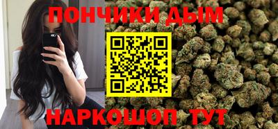 PSILOCYBIN Гатчина