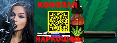 PSILOCYBIN Гатчина