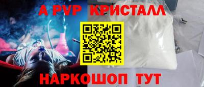 PSILOCYBIN Гатчина
